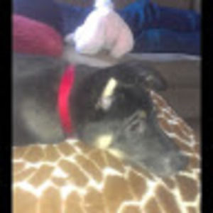 Meet your Posher, Margaret